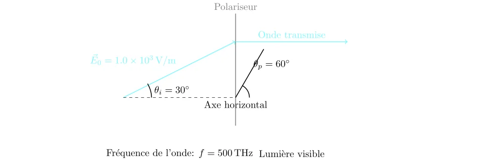 Effets de la Polarisation Linéaire sur une Onde