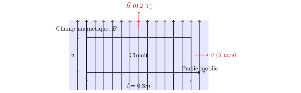 Force électromotrice induite dans un circuit